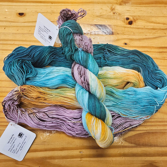 TDC Colorway Hand Dyed Yarn - Aquarius Makes