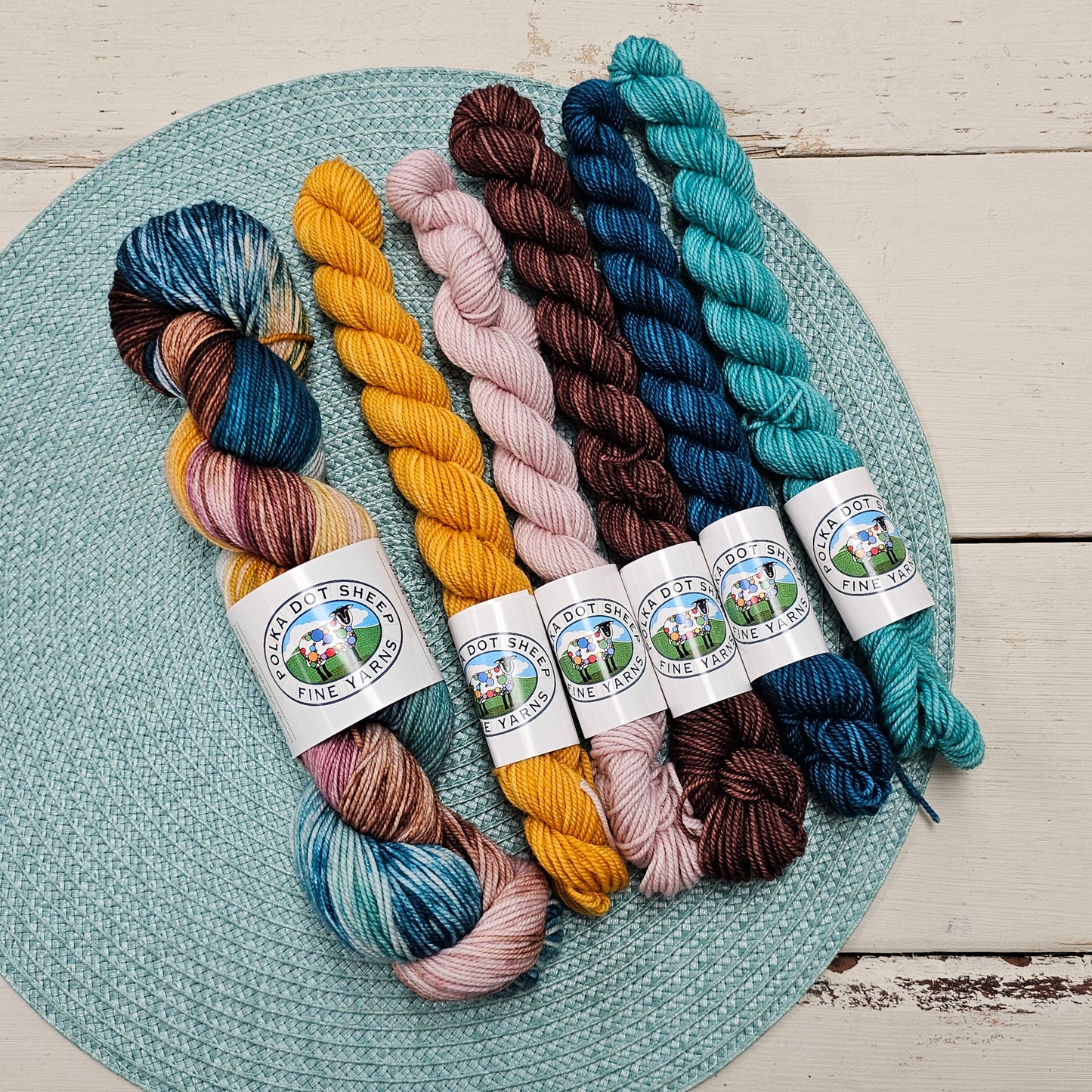TDC Colorway Hand Dyed Yarn Set - Polka Dot Sheep