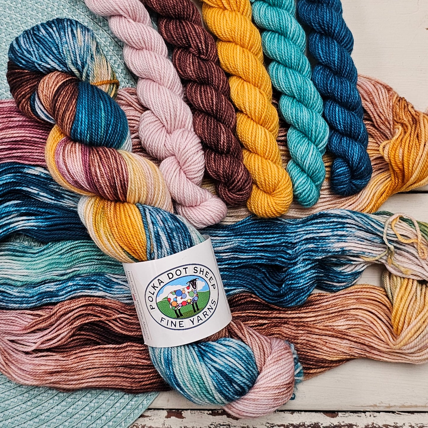TDC Colorway Hand Dyed Yarn Set - Polka Dot Sheep